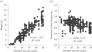 A The Relationship Of Height And The Age Of Oil Palm Trees