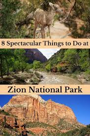 8 Spectacular Things To Do At Zion National Park Zion National Park Utah National Parks Utah National Parks