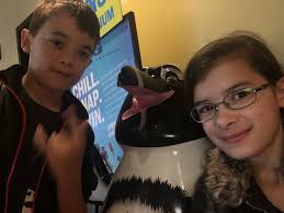 petester (@petester13)