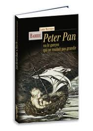 Les Livres De L Editeur Terre De Brume Editions Decitre