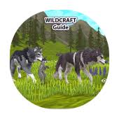 (premium/vip/pro/unlocked) apk, a2z apk, mod apk, mod apps, mod games, android application, free android app, android apps, android apk. Guide For Wildcraft Animal Sim Online Game 3 Apk Download Com Guidefor Wildsupernaimal