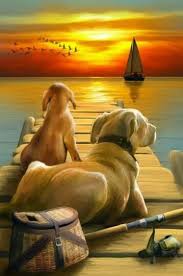 Sitting On The Dock Of The Bay Kopek Resimler Hayvanlar