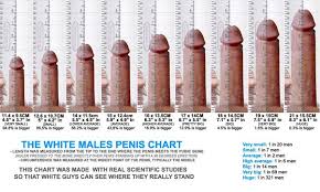 Is it normal to have a wide but short or stubby penis? - Quora
