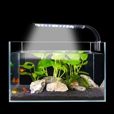 The right aquarium light affects everything: X9 Fish Tank Led Light For Planted Tank 15w 2000lm At Low Price Buy Online Senzeal