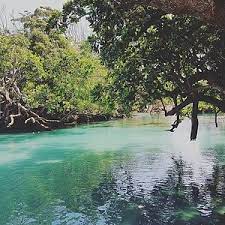 Check spelling or type a new query. Underwater Post Office Port Vila Aktuelle 2021 Lohnt Es Sich Mit Fotos Tripadvisor