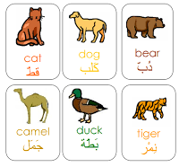 arabic vocabulary animal flashcards kids alphabet for revision note cards