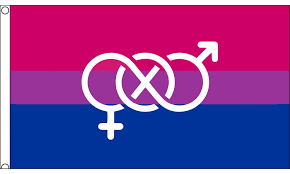 If you identify as bisexual and proud, get your flag today! Large Bi Pride Flag With Symbol 90 X 150 Cm