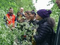 Foraging Walk in Bristol