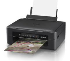 Set out the important printer associates for. Epson Piloteinstaller