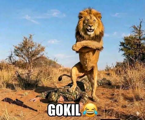 Gokil Singa
