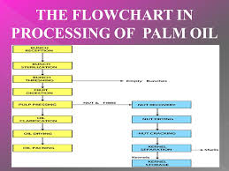 The Processing Of Palm Oil Mill Mutoharoh Ppt Download