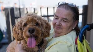 Dogs have their day in Seaside