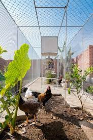 gallery of chicken house tropical space 29 chicken house tropical urban farming