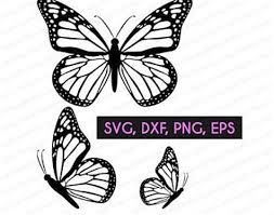 Image Result For Free Butterfly Svg Files For Cricut Butterflies Svg Butterfly Drawing Butterfly Clip Art