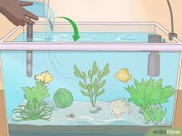 The trace amounts of copper from the pennies kills the snails and does not affect the fish. 3 Ways To Get Rid Of Snails Wikihow