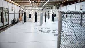 California Indoor Skate Park Punching Bags Exercise Equipment In 2020 Gym Design Gym Architecture Gym Interior