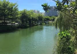 The ec site at sumang walk (in punggol) attracted 17 bids among developers. Piermont Grand Ec C Official Sumang Walk Punggol By City Developments Limited