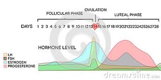 Blog Appleseed Fertility