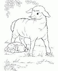 Subscribe to my free weekly newsletter — you'll be the first to know when i add new printable documents and templates to the freeprintable.net network of sites. Sheep Coloring Pages