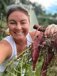 Growing figs and sweet potatoes in pots