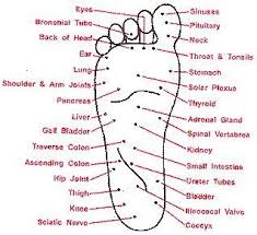 Chinese Foot Massage Hurts So Good Foot Massage Foot Massage Diagram Massage