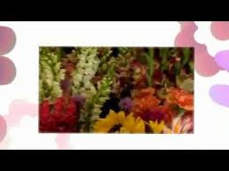 Order hand delivered flowers online! Myrtle Flowers Gifts Toledo Ohio Youtube