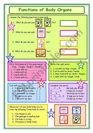 Extremely Useful Worksheet For A Child To Learn Functions Of Various Body Organs Like Eyes Ears Tongue Feet Etc Con In 2020 Body Organs Body Vocabulary Worksheets