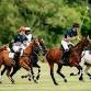 Lux Afrique Polo Day 2026 event image