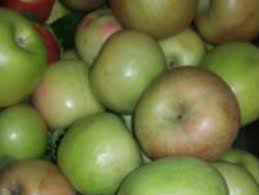 CATEC Celebrates Its Culinary Arts Program