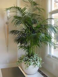 5 Mind Blowing Useful Ideas Artificial Grass Animals Artificial Plants Articles Artificial Garden Home Arti Artificial Plants Indoor Indoor Plants Plant Decor