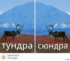 Kartinki S Glubochajshim Zhiznennym Smyslom Chast Tretya Memy Veselye Memy Fotografii Otnoshenij