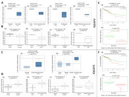 Whether the cancer is only in the breast or has spread to the lymph nodes or other places in the body Plos One Reduced Expression Of Iqgap2 And Higher Expression Of Iqgap3 Correlates With Poor Prognosis In Cancers