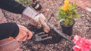 40 Kata-Kata Bijak tentang Berkebun, Mengajarkan Kesabaran - Ragam Bola.com