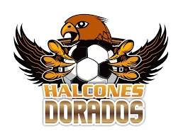 A continuación, la foto que se conoció de la que sería la nueva camiseta del real madrid. Los Halcones Dorados