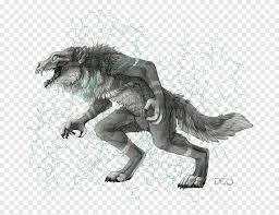 Want to discover art related to werewolf? Werewolf Drawing Dog Furry Fandom Sketch Werewolf Furry Fandom Fauna Png Pngegg