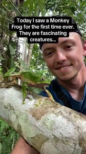 Unique Adaptations of Monkey Frogs Explained