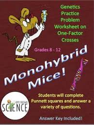 A a a aa aa a aa aa cross a heterozygous if two black mice are crossed, ten black and three white mice result. 12 Teacherspay Teachers Ideas Life Science Science Classroom Teaching Biology