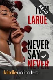 Book review of The Intruder novel