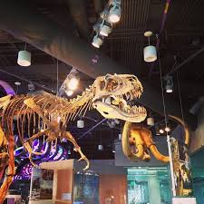 North Carolina Museum Of Natural Sciences Nature Research Center Photo Credit Grcvb Visitralei North Carolina Homes Living In North Carolina North Carolina