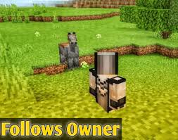 ✓ audit logs system ✓ smart file search ✓ plugin & modpack installer. Amplified Horses Undead Update V1 0 6 Beta Stage Minecraft Pe Mods Addons