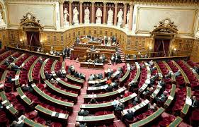 Pour caroline mecary, avocate spécialisée dans le droit des homosexuels, l'ouverture de la pma est nécessaire parce qu'il. Loi Bioethique Le Senat Vote La Pma Pour Toutes Mais Pas Le Remboursement Pour Toutes