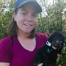 Ecological Adventures