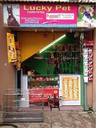 We did not find results for: Lucky Pet Birati Pet Shops In Kolkata Justdial