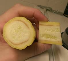 Maybe you would like to learn more about one of these? Discolored Ring In Squash Seasoned Advice