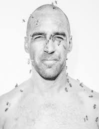 Bee-coming Buzzworthy: The Hives and Highs of Mica Marder