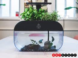 Ecogarden Un Jardin Et Un Aquarium A La Fois Stuff Magazine