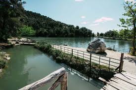 Δείτε έναν από τους όχι και τόσο γνωστούς υδροβιότοπους της αττικής, τη λίμνη μπελέτσι, στην ιπποκράτειο. Sth Limnh Mpeletsi Gia Pik Nik Mia Anasa Apo To Kentro Ths A8hnas