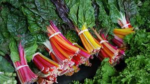 Place the container in a sunny window. Bright Lights Swiss Chard Finegardening