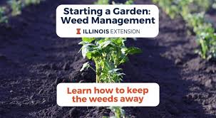You can choose to tackle them by using natural/organic methods or by using chemicals. Starting A Garden Weed Management University Of Illinois Extension