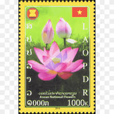 Flowering Plant Sampaguita Flower Flora Flowering Plant Png Pngwing The national flower of philippines. pngwing